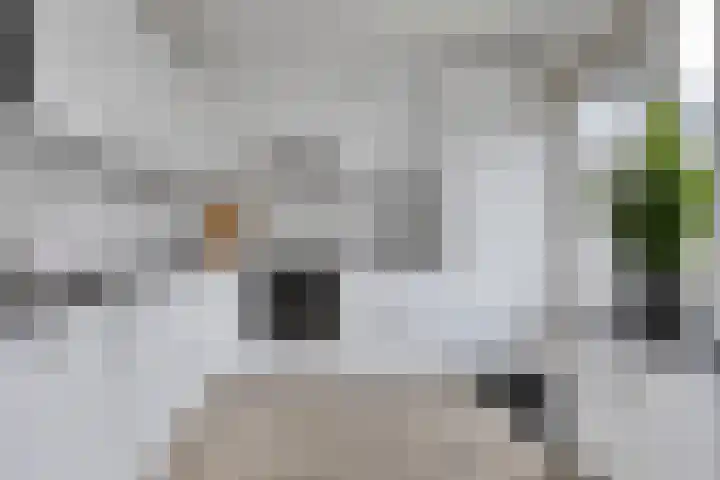Spinhuisweg 3 Middelburg thumbnail 9