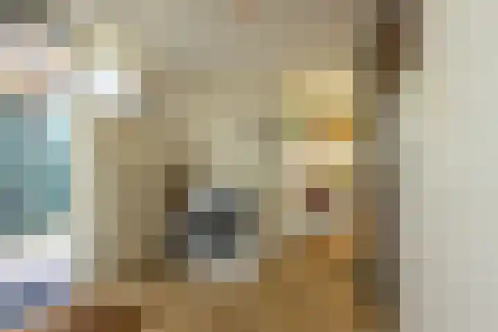 Spinkatstraat 13 Aalten thumbnail 18
