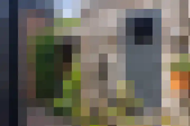 Spinkatstraat 13 Aalten thumbnail 34