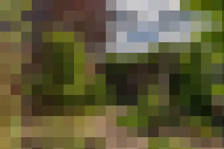 Spinkatstraat 13 Aalten thumbnail 36