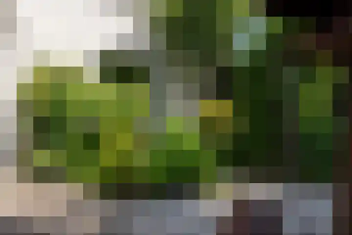 Spinkatstraat 13 Aalten thumbnail 42