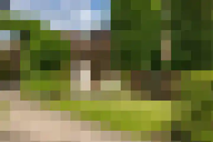 Spinkatstraat 13 Aalten thumbnail 6