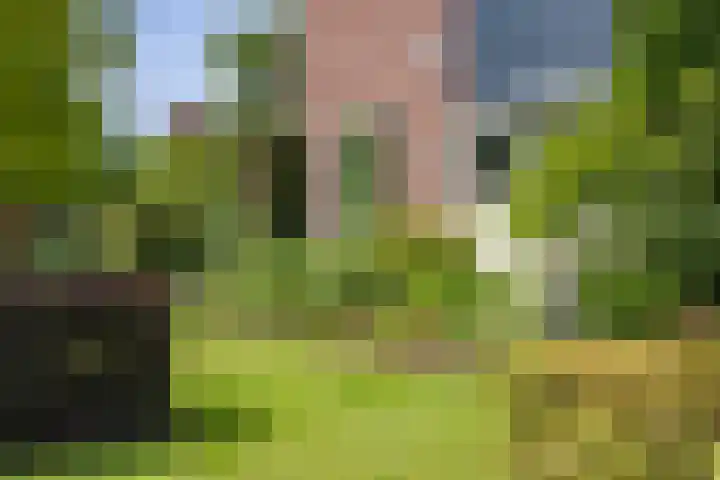 Spinkatstraat 13 Aalten thumbnail 7
