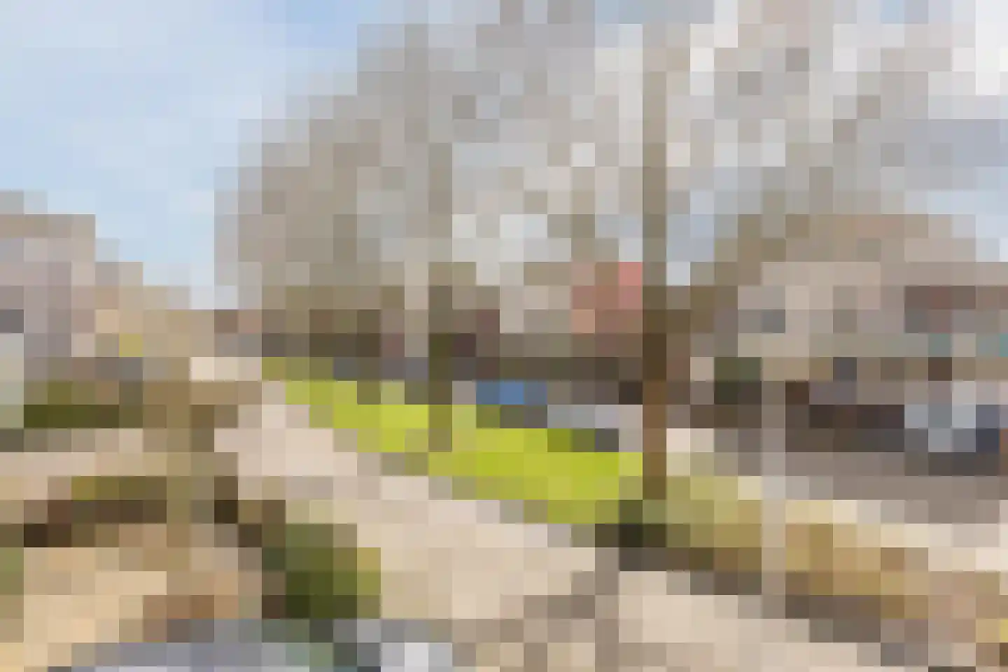 Spinnaker 2 Papendrecht thumbnail 21