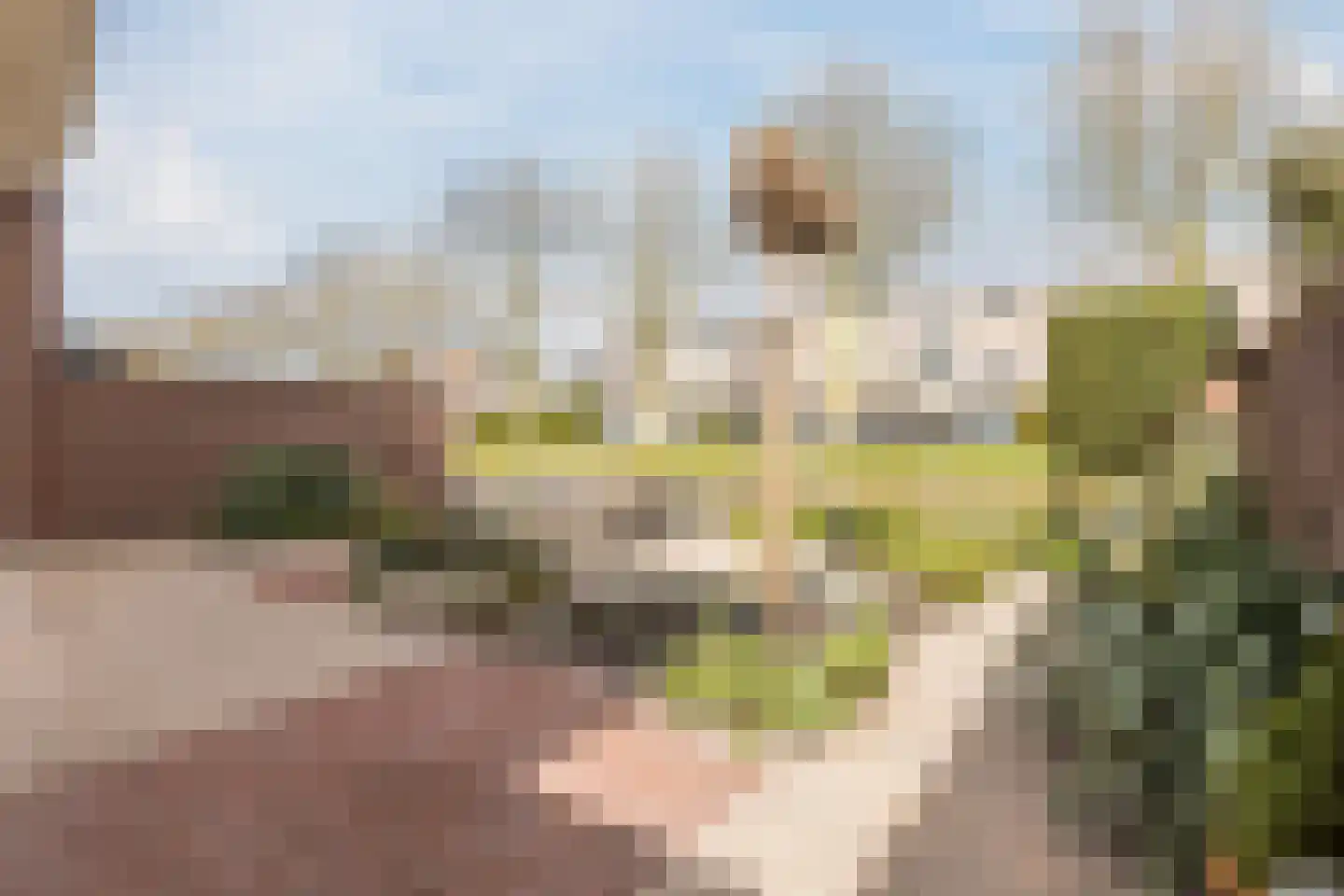 Spinnaker 2 Papendrecht thumbnail 42