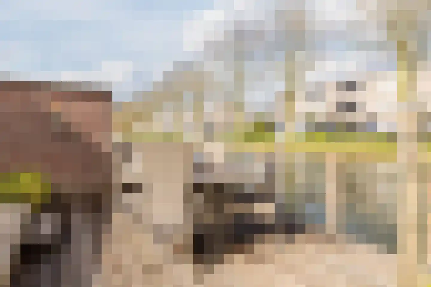 Spinnaker 2 Papendrecht thumbnail 46