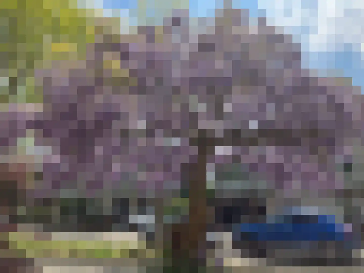 Spinnaker 2 Papendrecht thumbnail 55