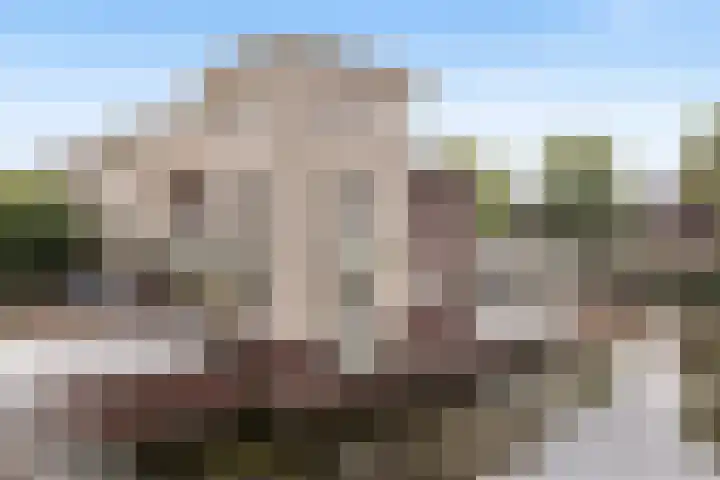 Spinnaker 5 Papendrecht thumbnail 13