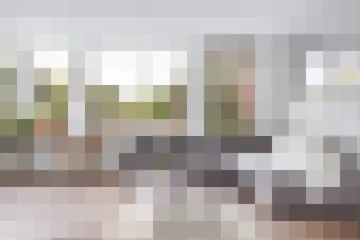 Spinnaker 5 Papendrecht thumbnail 21