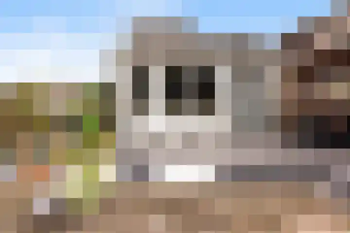 Spinnaker 5 Papendrecht thumbnail 30