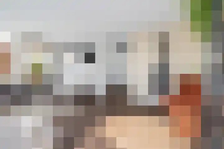 Spinnaker 5 Papendrecht thumbnail 36