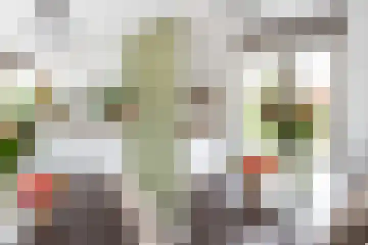 Spinnaker 5 Papendrecht thumbnail 39