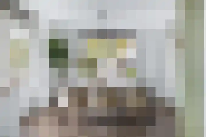 Spinnaker 5 Papendrecht thumbnail 4