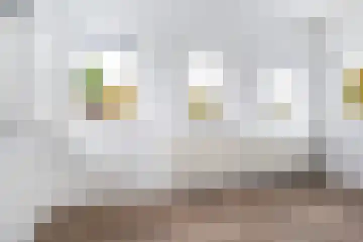 Spinnaker 5 Papendrecht thumbnail 53