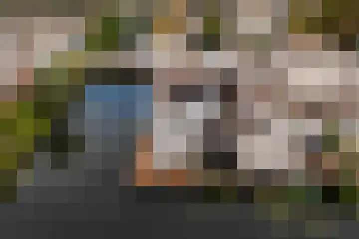 Spinnaker 5 Papendrecht thumbnail 6