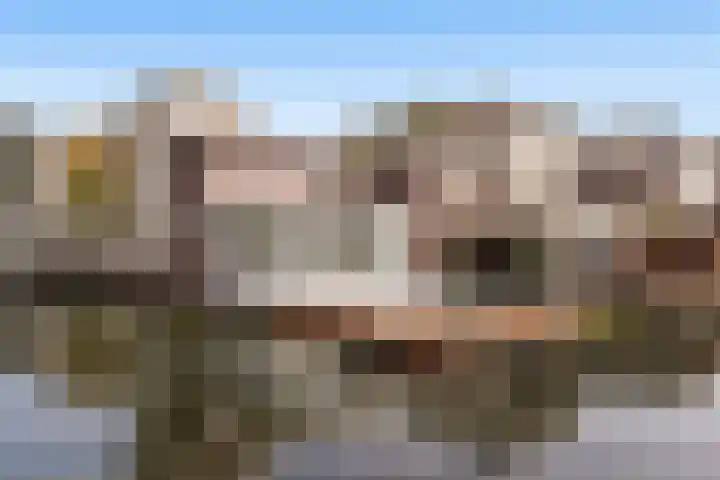 Spinnaker 5 Papendrecht thumbnail 7