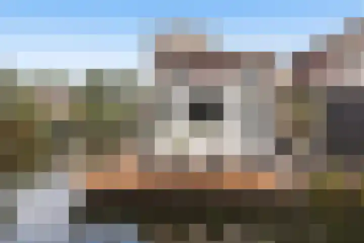 Spinnaker 5 Papendrecht thumbnail 8