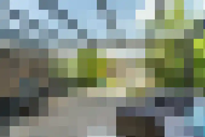 Spinnakerplantsoen 106 Almere thumbnail 5