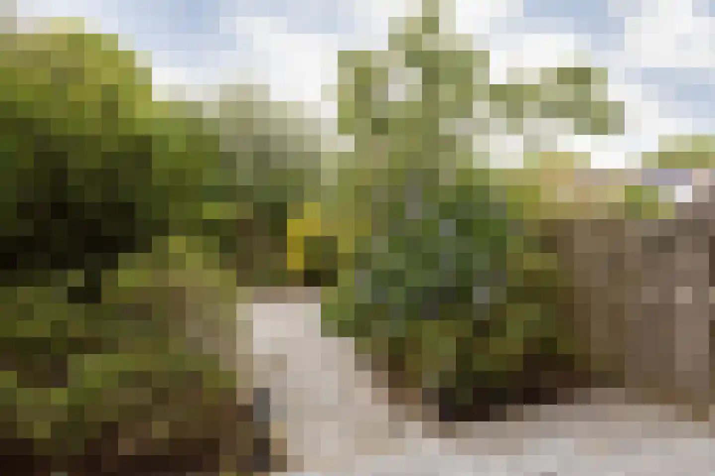 Spinnekop 10 Sneek thumbnail 30