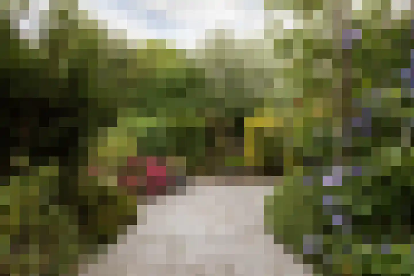 Spinnekop 10 Sneek thumbnail 31