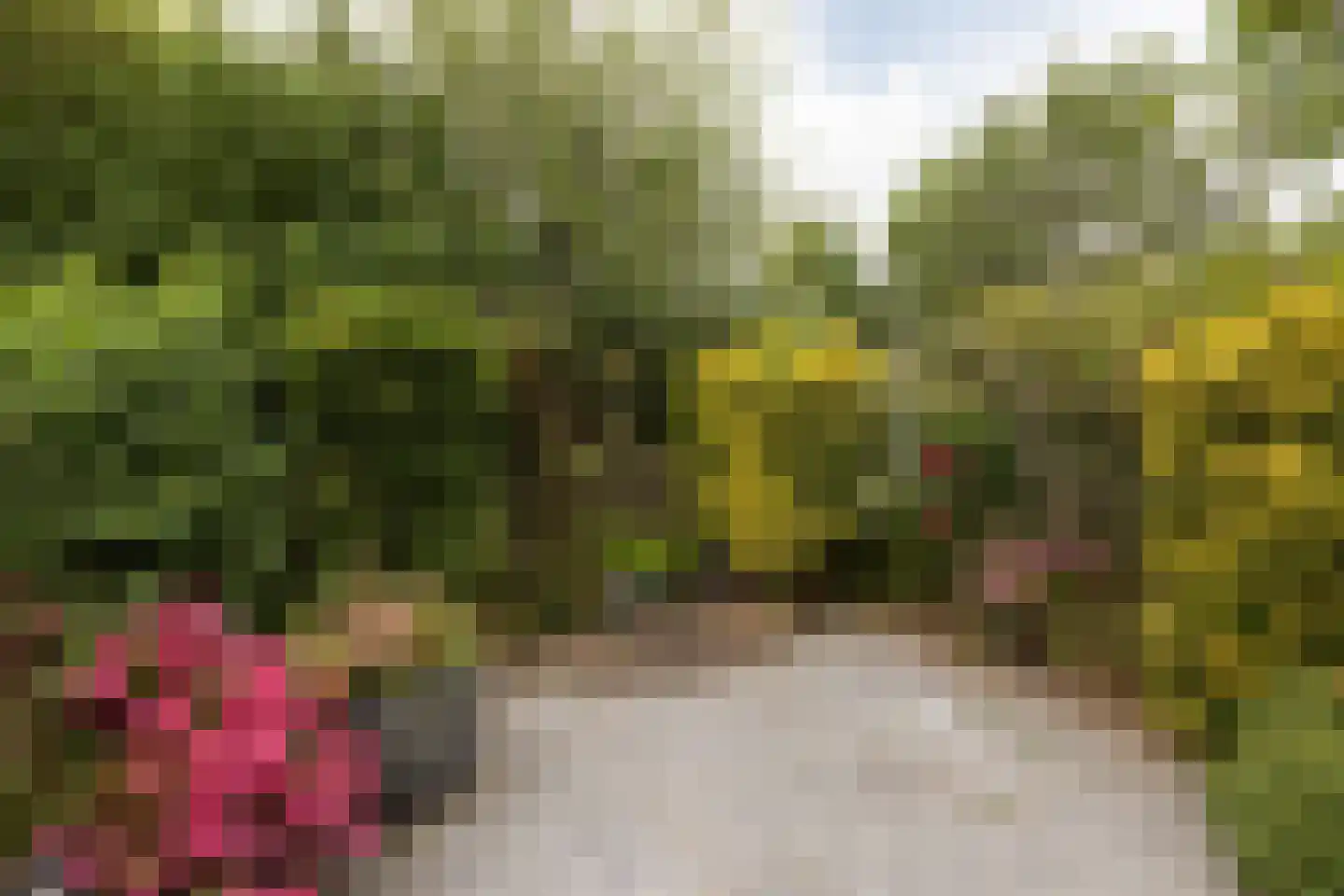 Spinnekop 10 Sneek thumbnail 32