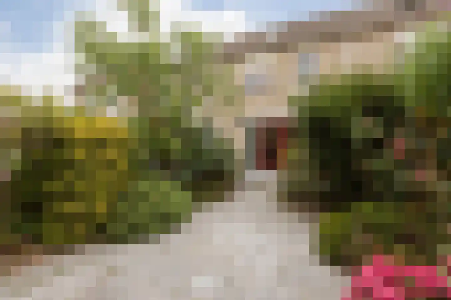 Spinnekop 10 Sneek thumbnail 33
