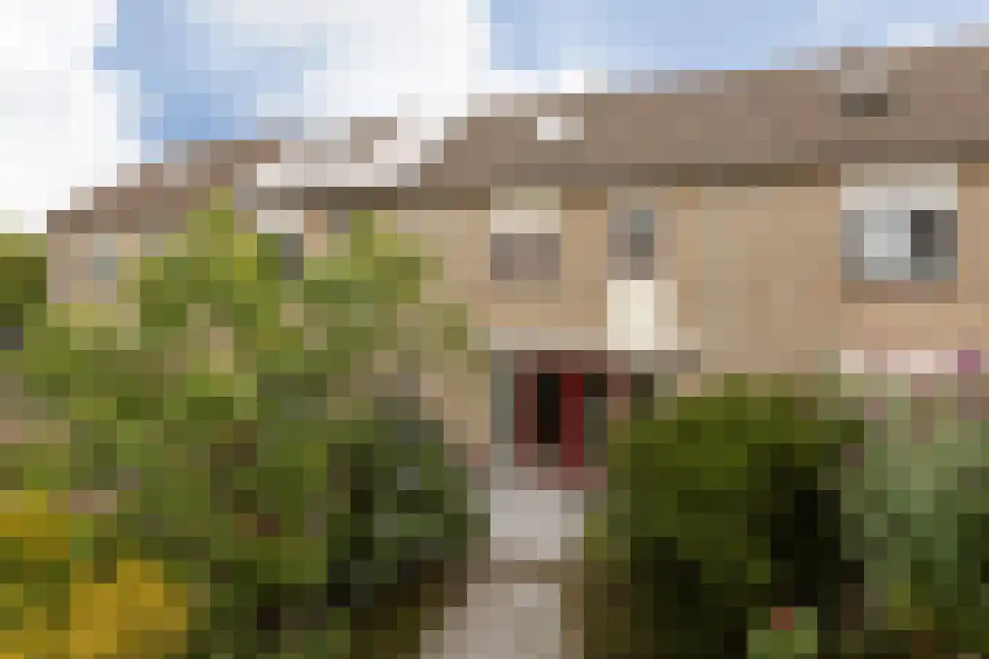 Spinnekop 10 Sneek thumbnail 34