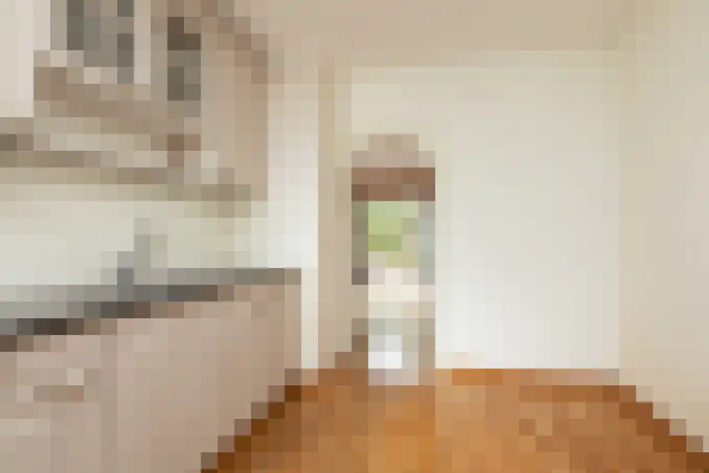 Spinnekop 10 Sneek thumbnail 7