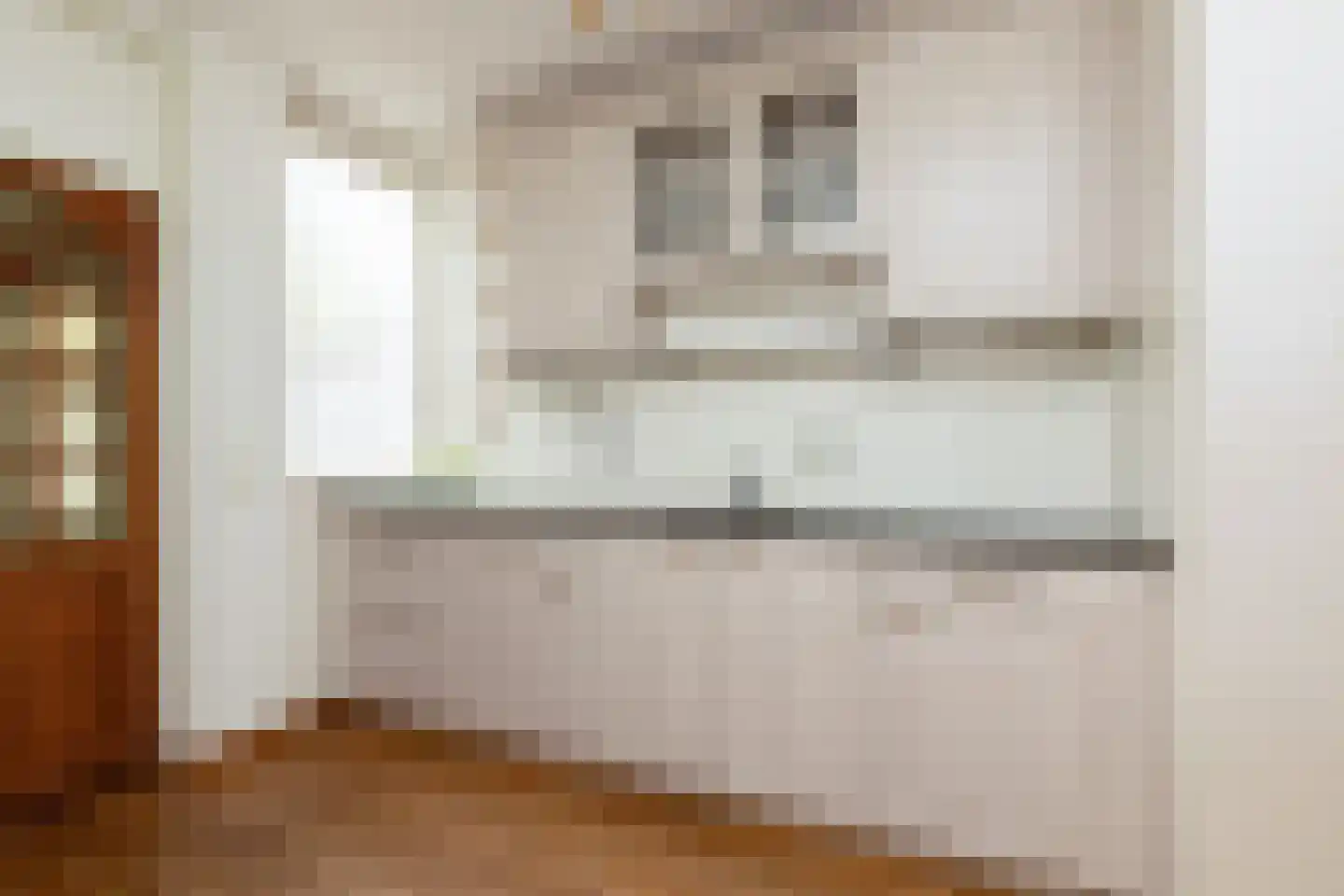 Spinnekop 10 Sneek thumbnail 8
