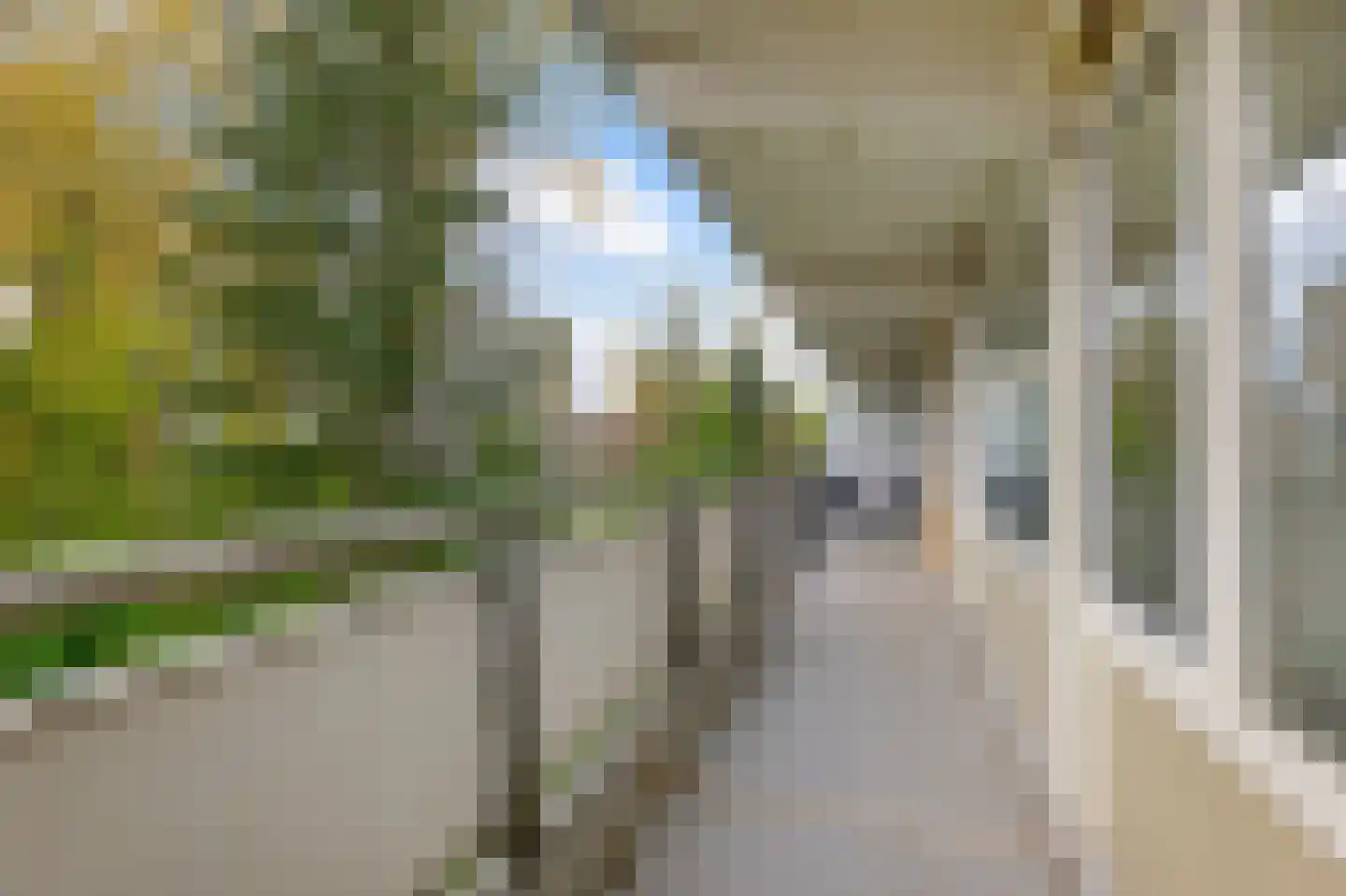 Spinnekop 18 Amsterdam thumbnail 11