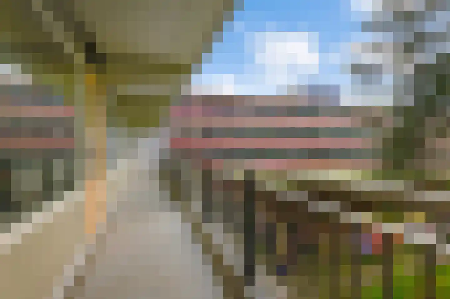 Spinnekop 18 Amsterdam thumbnail 12