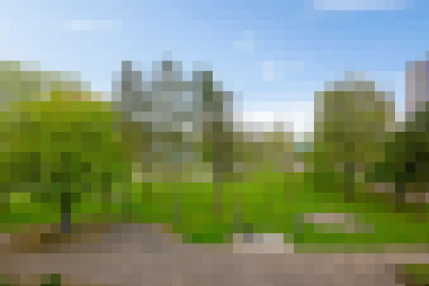 Spinnekop 18 Amsterdam thumbnail 18