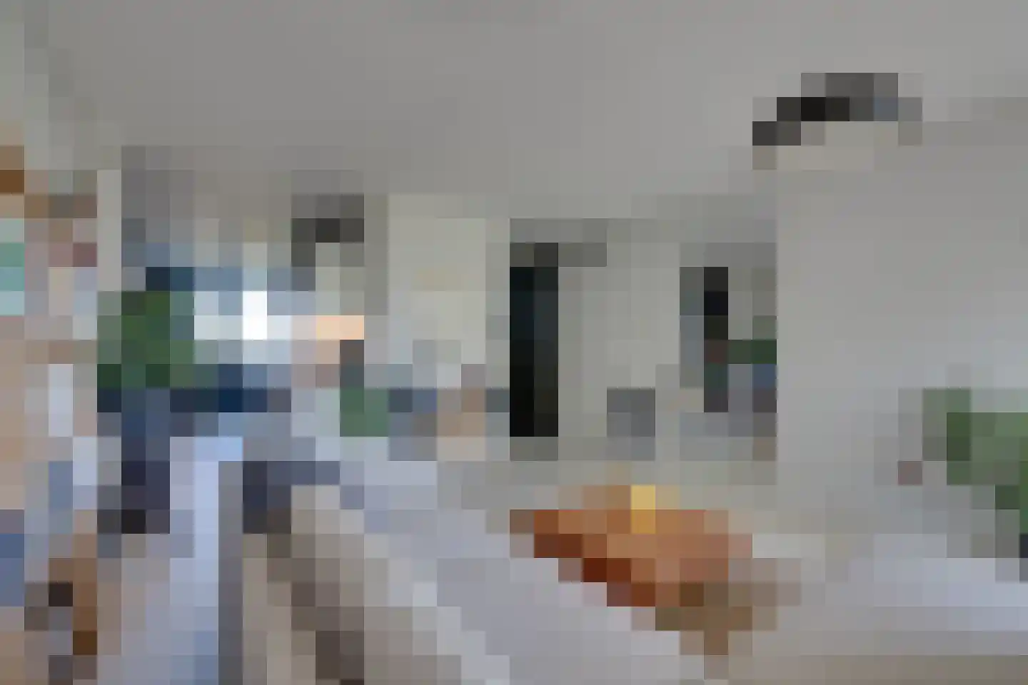 Spinnekop 43 Amsterdam thumbnail 10