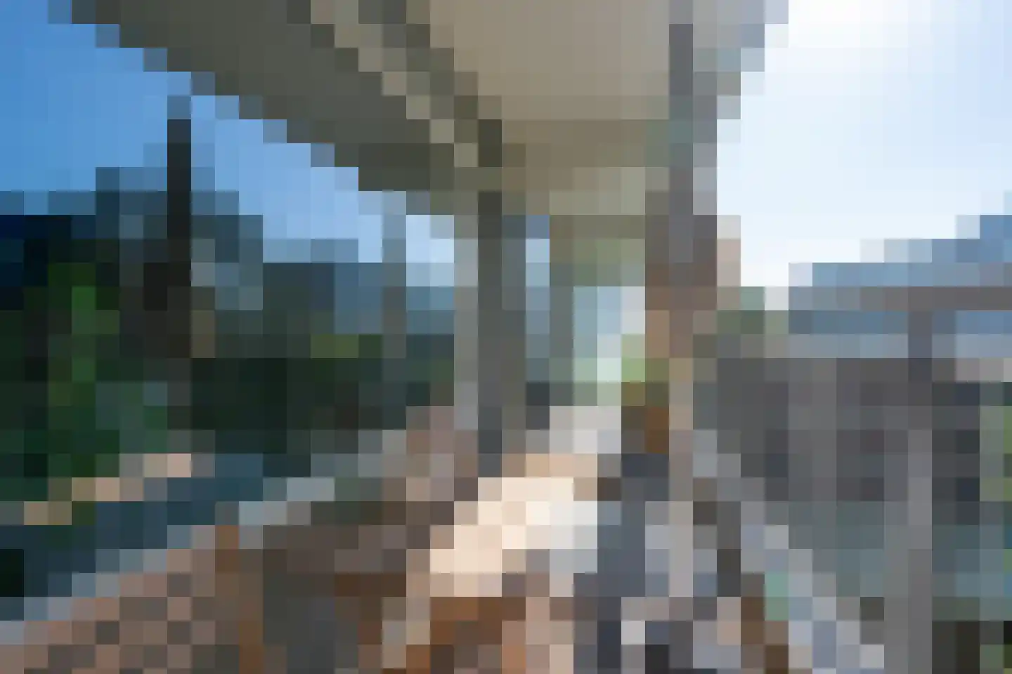 Spinnekop 43 Amsterdam thumbnail 13