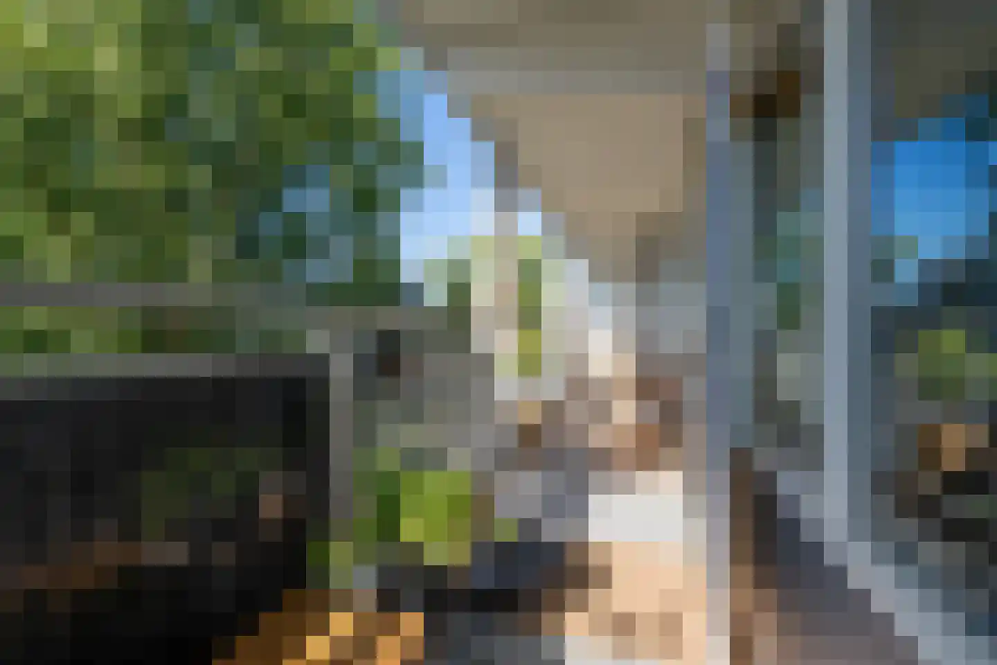Spinnekop 43 Amsterdam thumbnail 14
