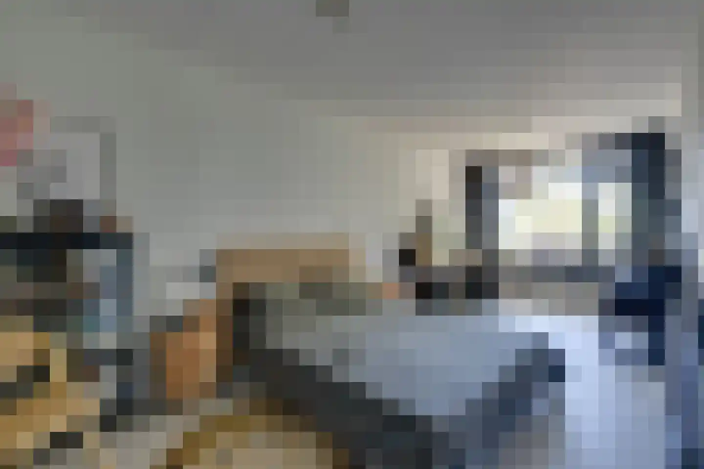 Spinnekop 43 Amsterdam thumbnail 21