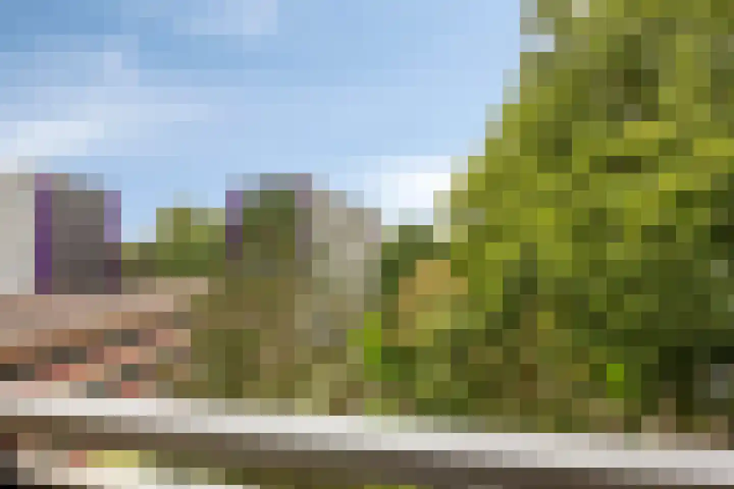 Spinnekop 50 Amsterdam thumbnail 27