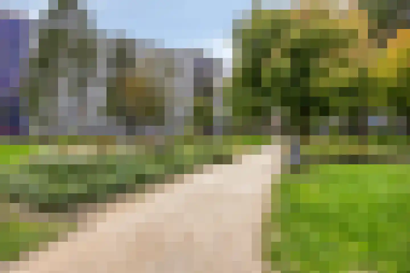 Spinnekop 50 Amsterdam thumbnail 34