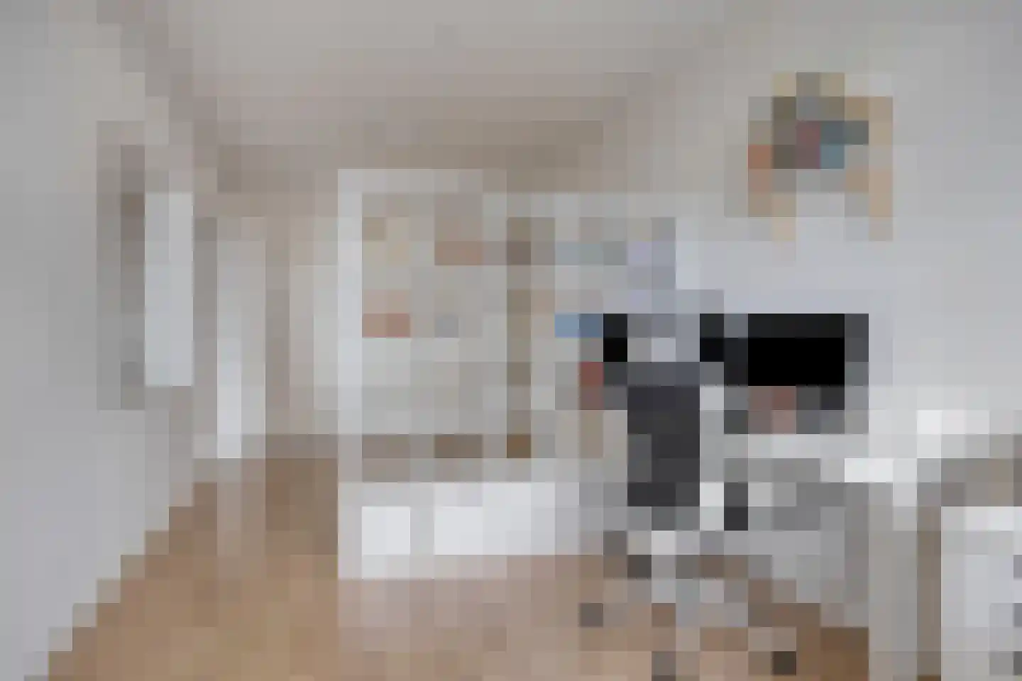 Spinnekop 80 Amsterdam thumbnail 13