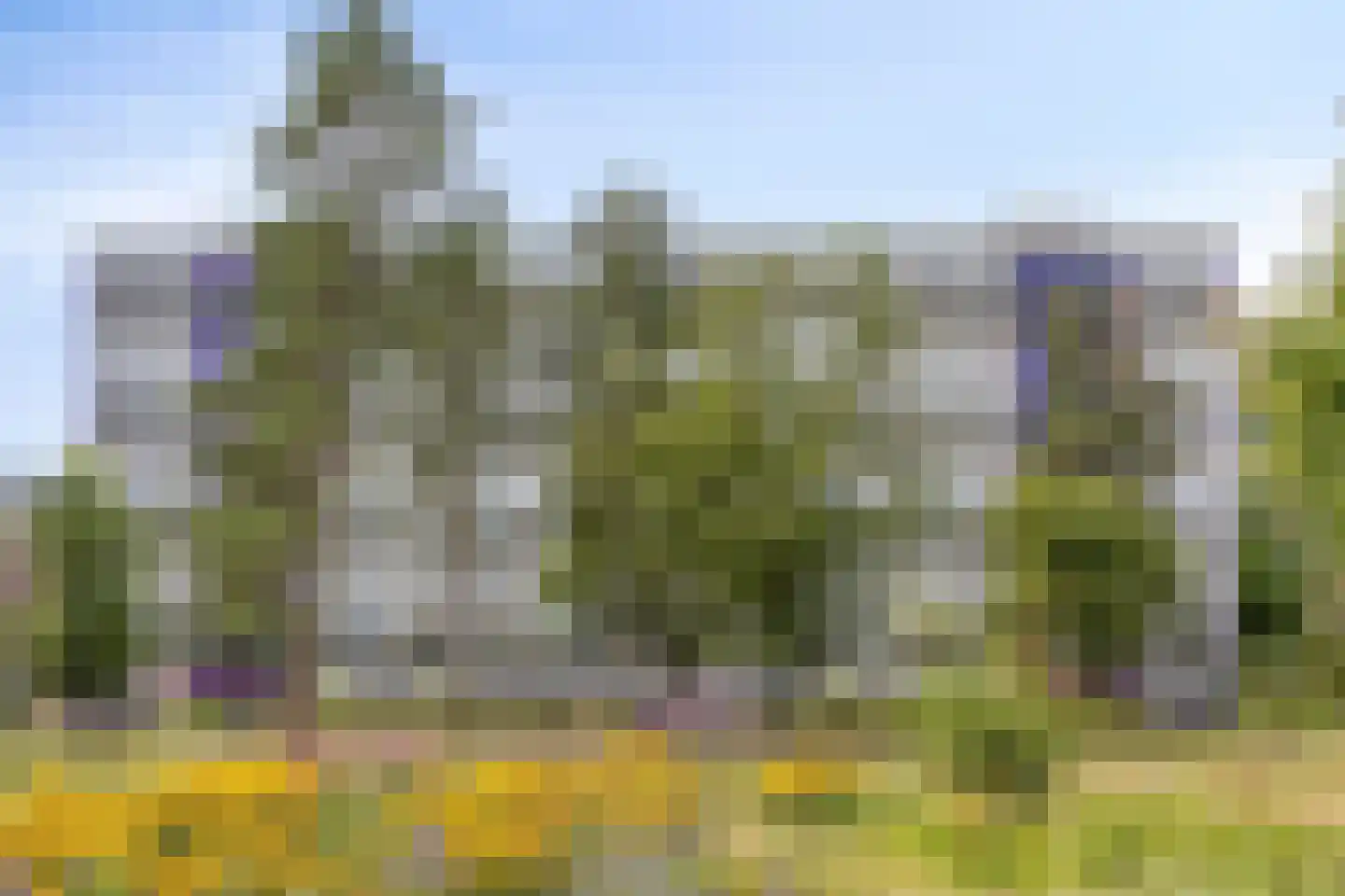 Spinnekop 80 Amsterdam thumbnail 27
