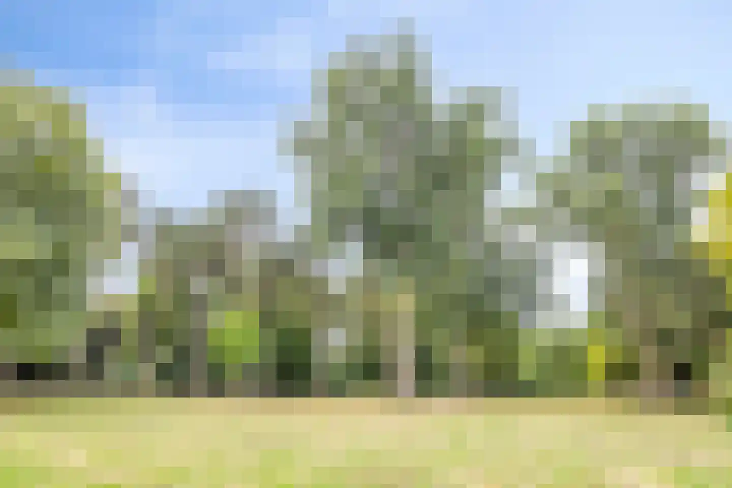 Spinnekop 80 Amsterdam thumbnail 36