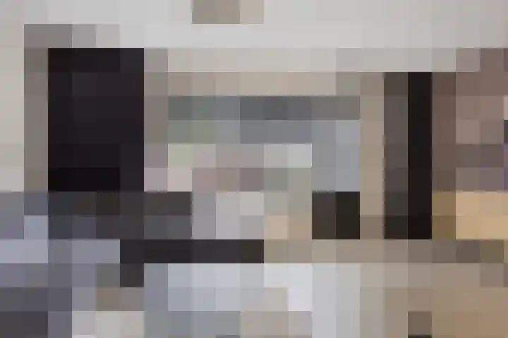 Spinnekop 9 Sneek thumbnail 10