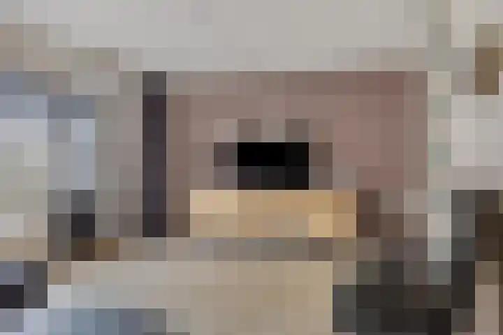Spinnekop 9 Sneek thumbnail 11