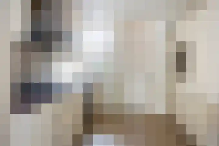 Spinnekop 9 Sneek thumbnail 14