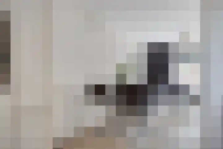 Spinnekop 9 Sneek thumbnail 16