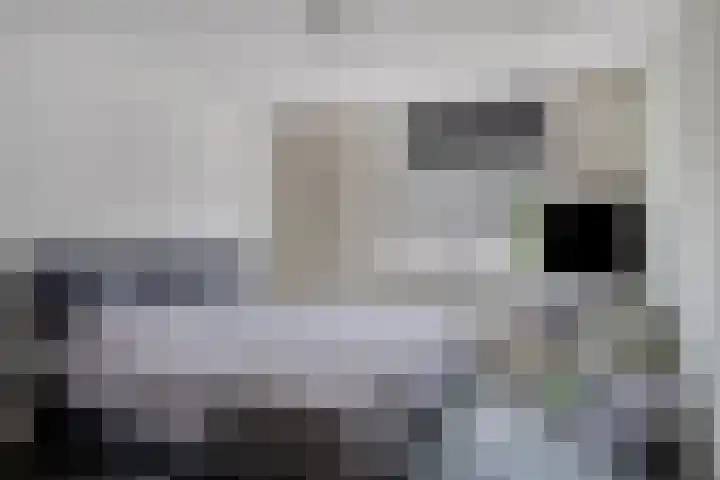 Spinnekop 9 Sneek thumbnail 17