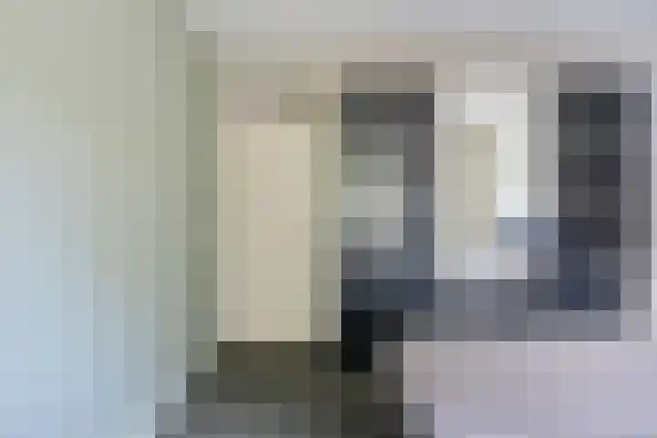 Spinnekop 9 Sneek thumbnail 18