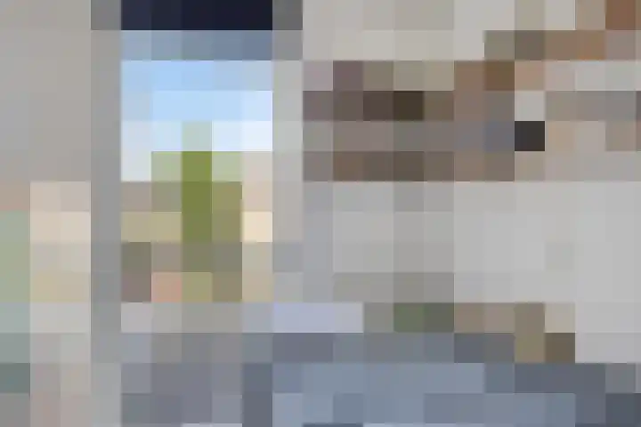 Spinnekop 9 Sneek thumbnail 21