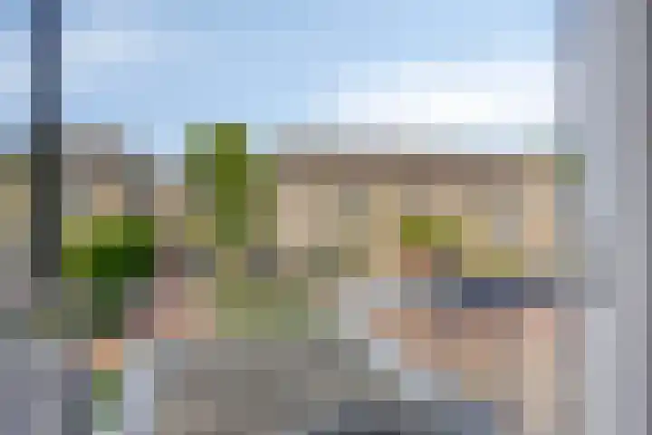 Spinnekop 9 Sneek thumbnail 23