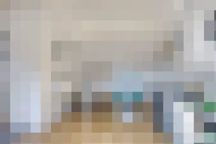 Spinnekop 9 Sneek thumbnail 25